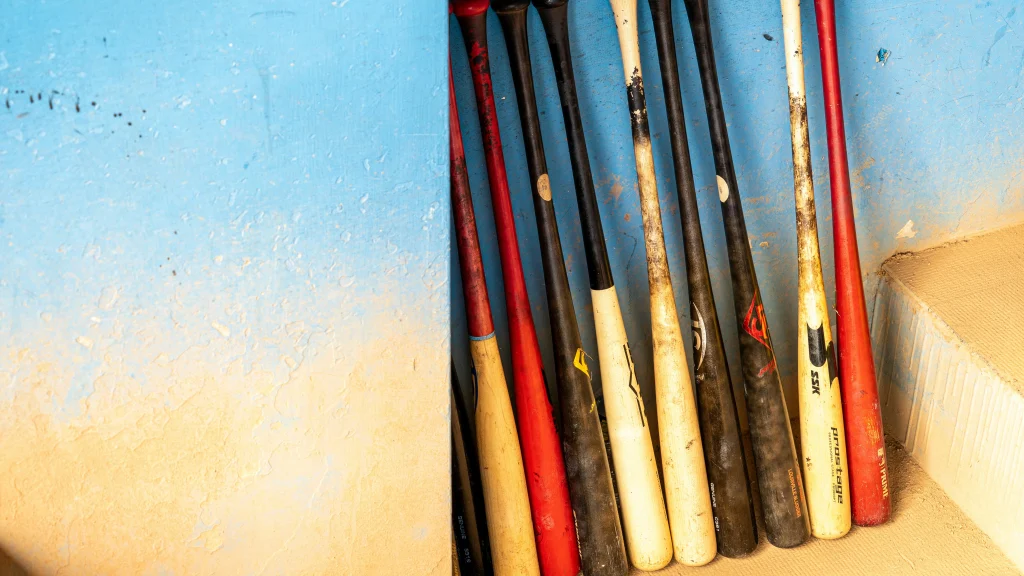 Youth Baseball Equipment: Essential Gear for Beginners